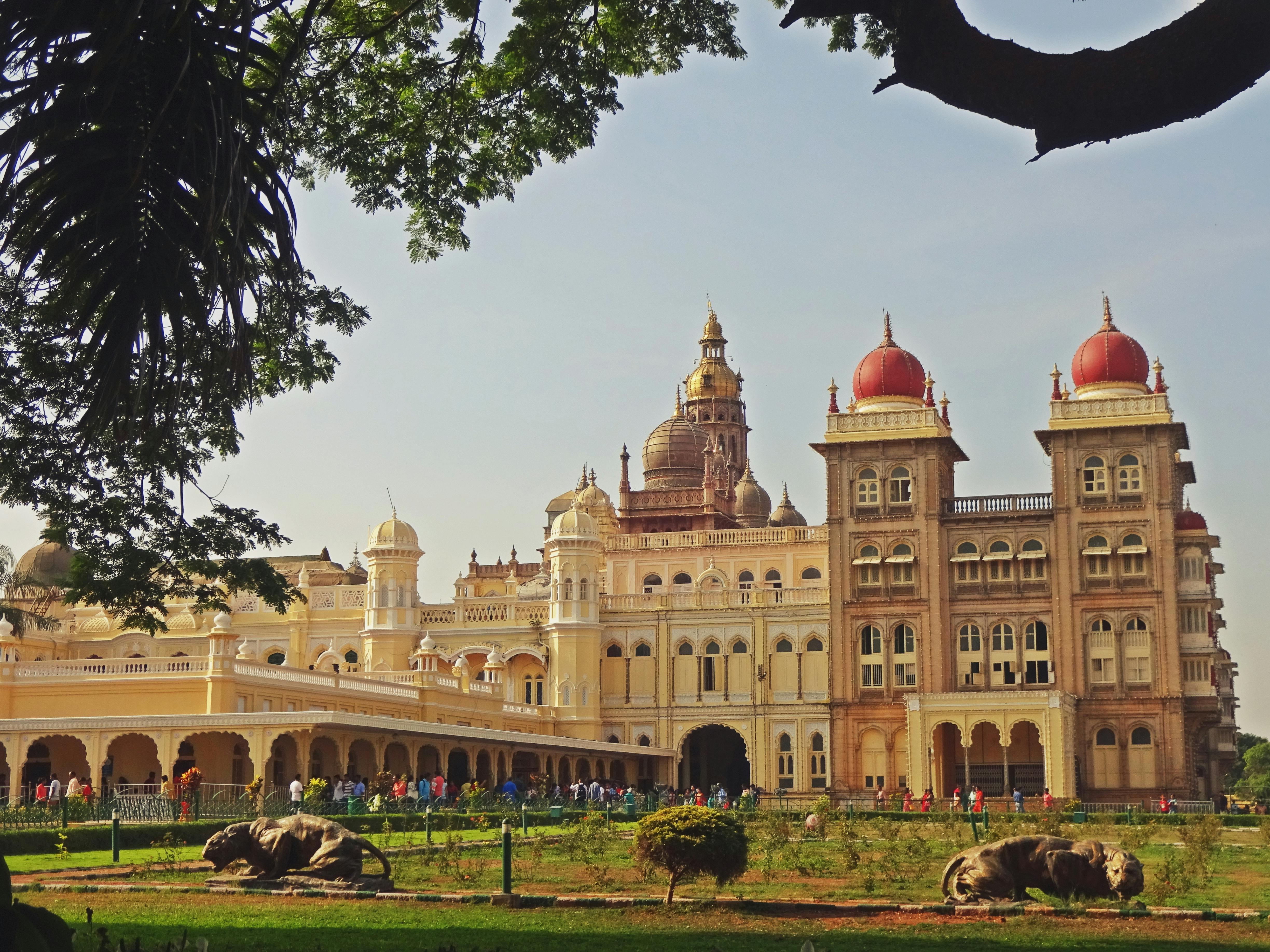 NEM – Namma Equi Mysore
